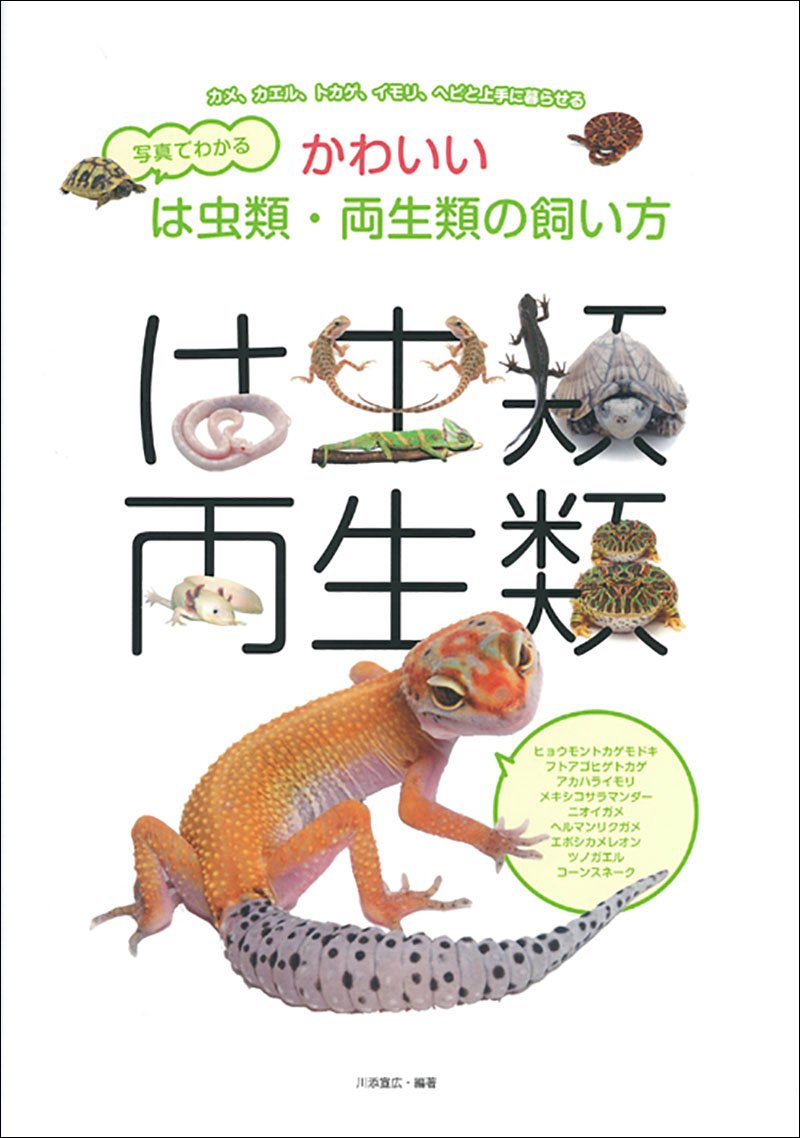 写真でわかる かわいいは虫類・両生類の飼い方 – 誠文堂の直売所