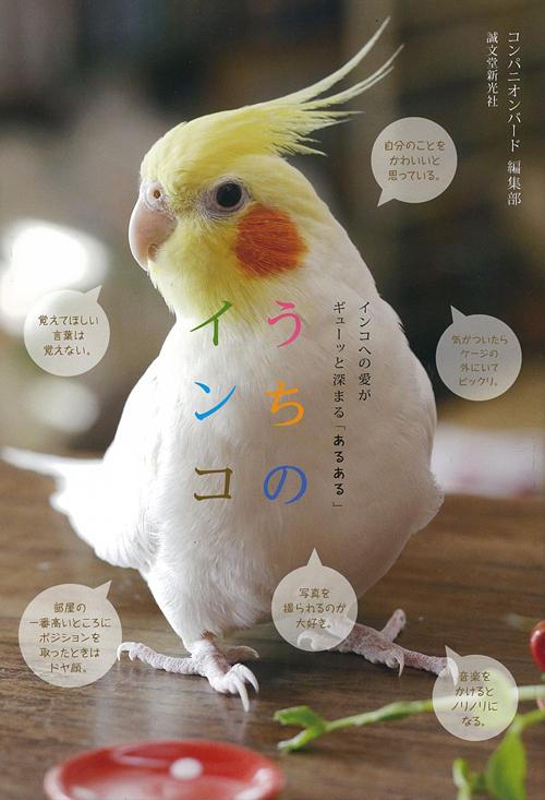 うちのインコ