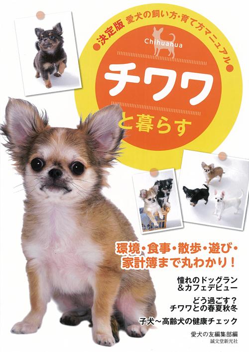 チワワと暮らす