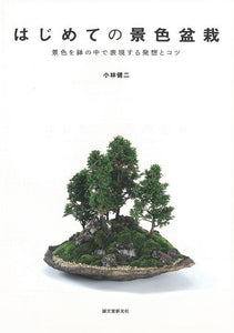 My first landscape bonsai
