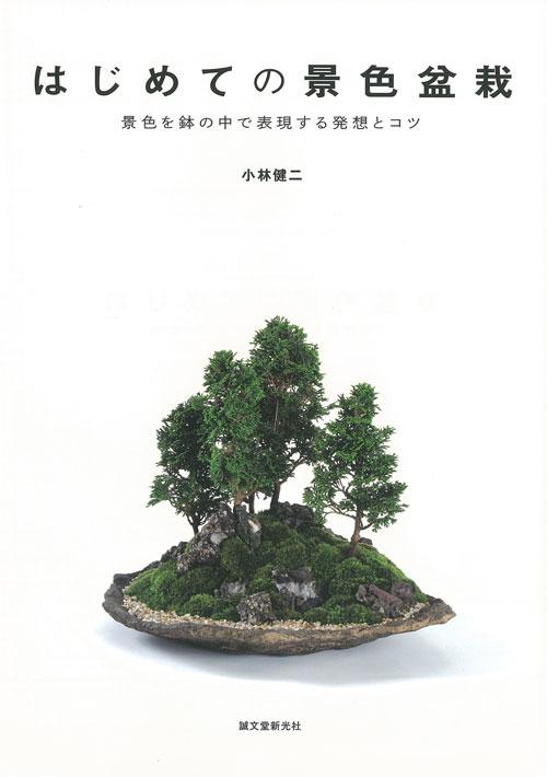 はじめての景色盆栽