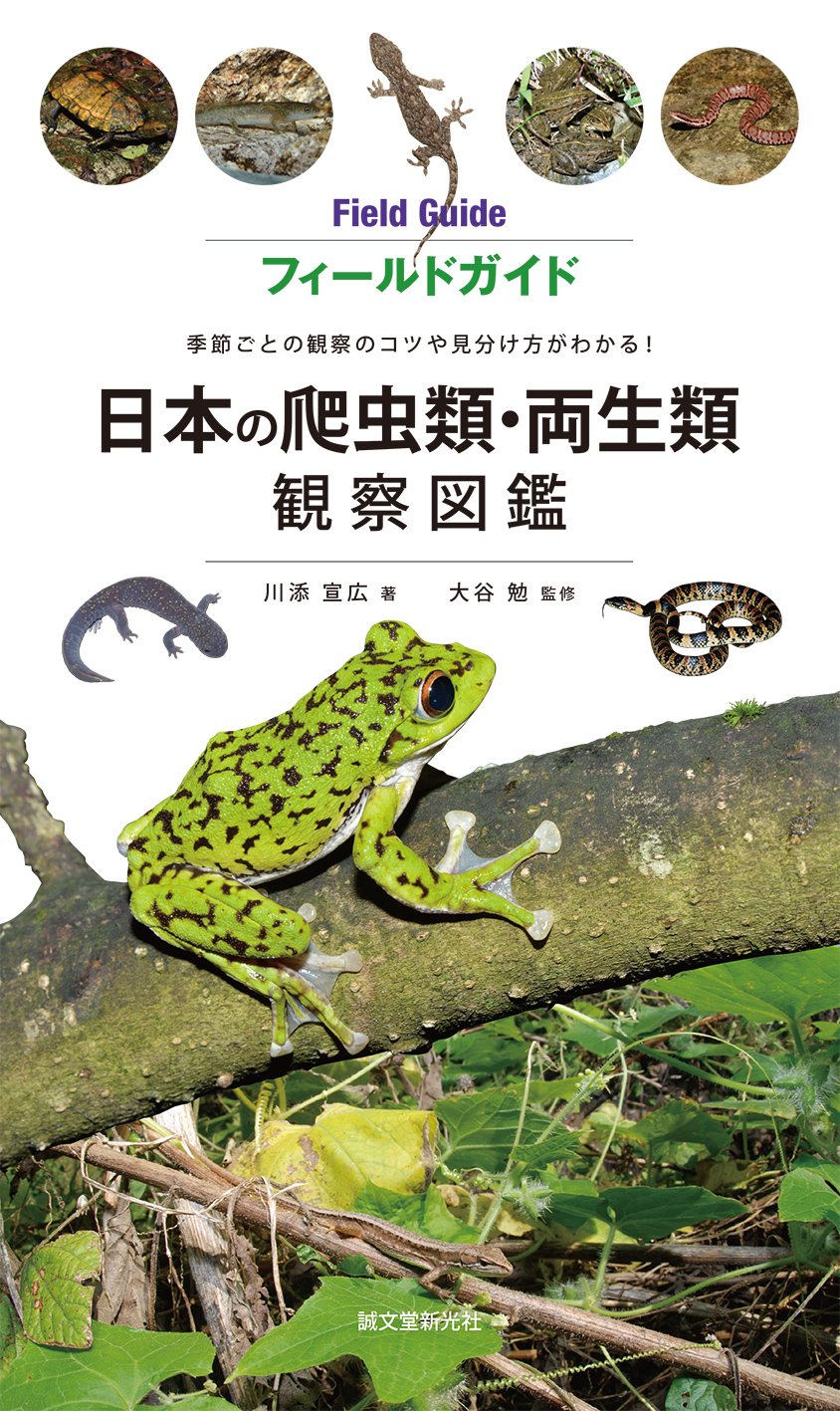 飼いたい種類が見つかる 爬虫類・両生類図鑑 人気種から希少種まで厳選