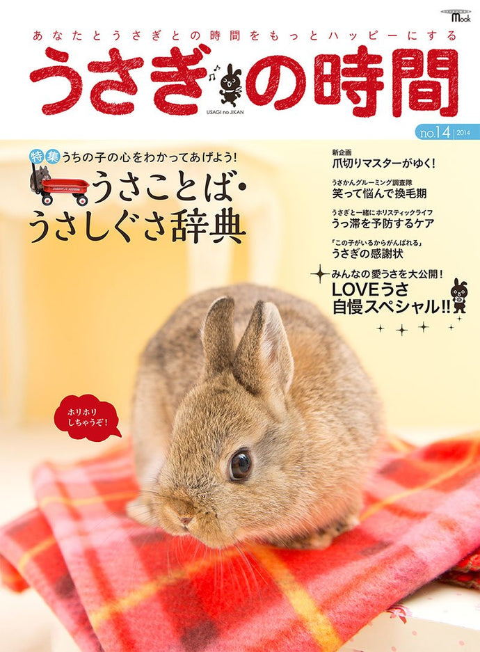 Usagi no Jikan No.14 A dictionary of rabbit words and rabbits that can be remembered through pictures