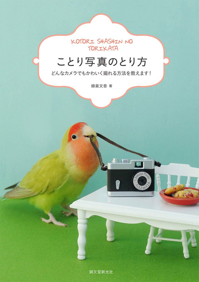 ことり写真のとり方