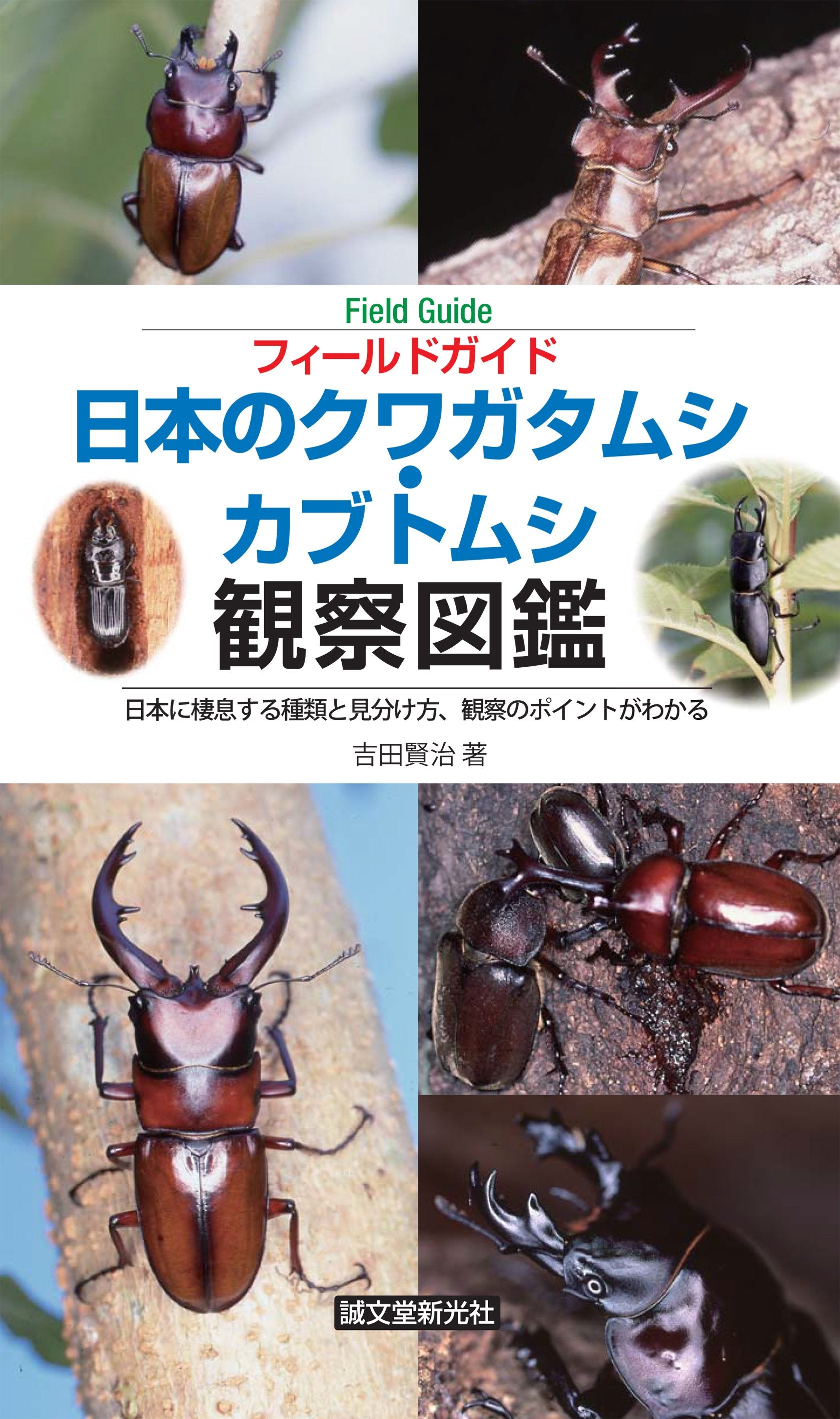 日本のクワガタムシ・カブトムシ観察図鑑 – 誠文堂の直売所
