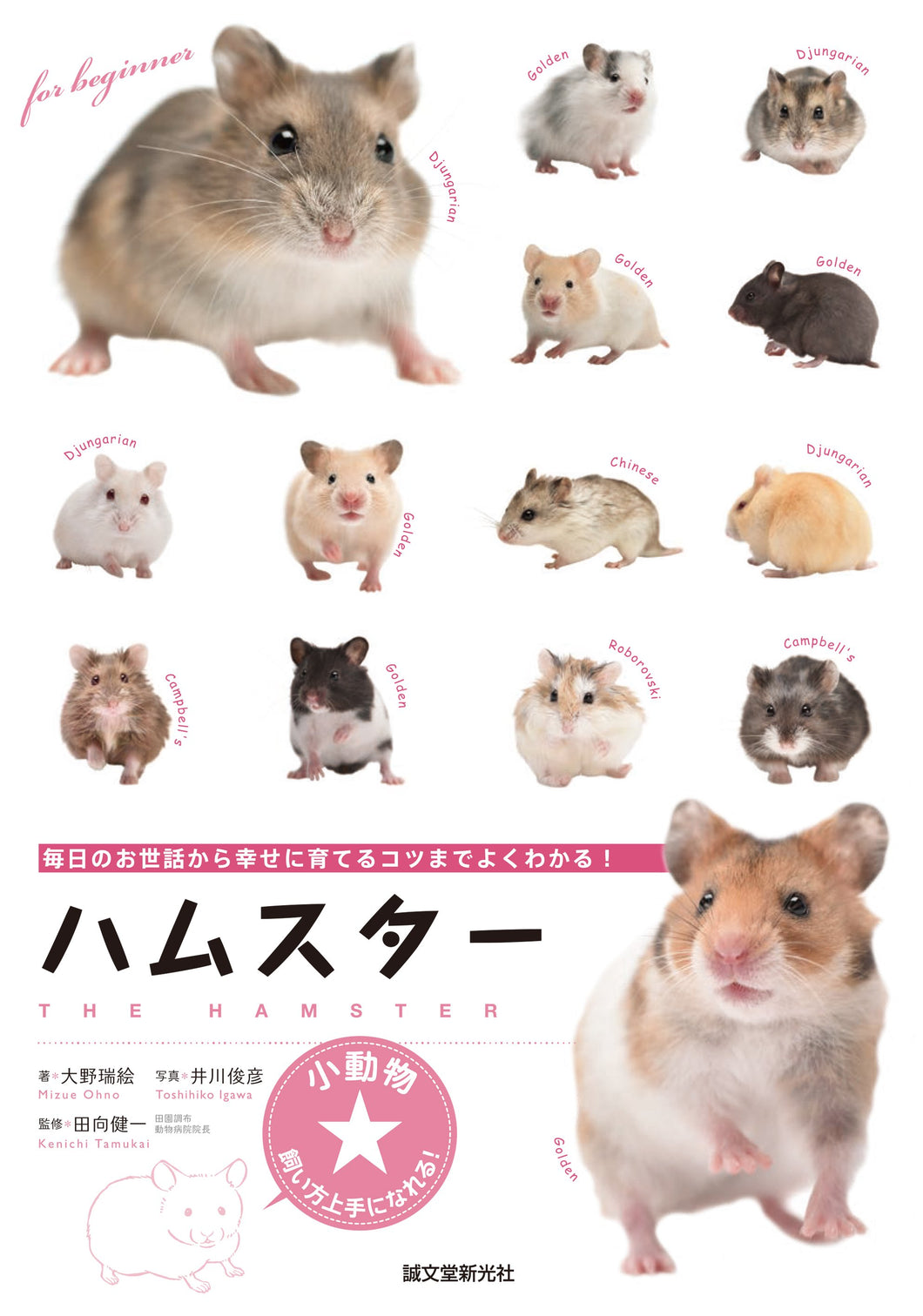 Small animals ☆ You can become good at keeping them! hamster