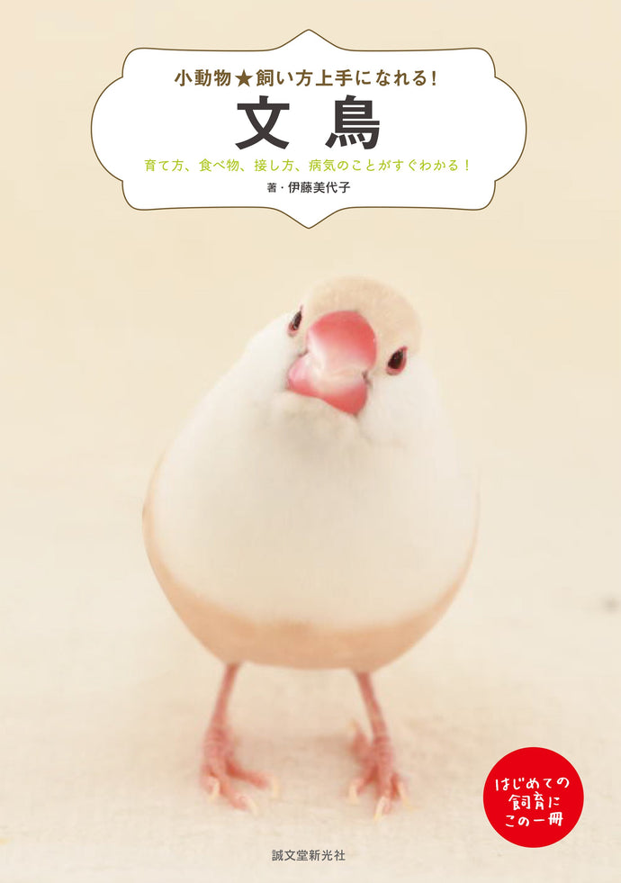 小動物☆飼い方上手になれる！ 文鳥