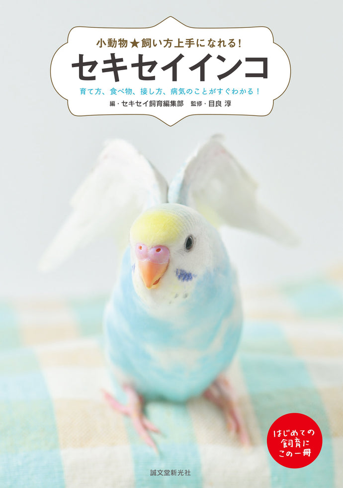 小動物☆飼い方上手になれる！ セキセイインコ