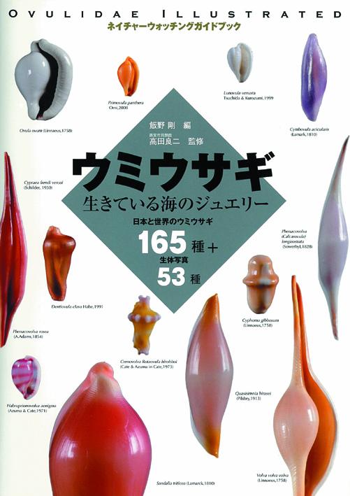 ウミウサギ　生きている海の小さなジュエリー