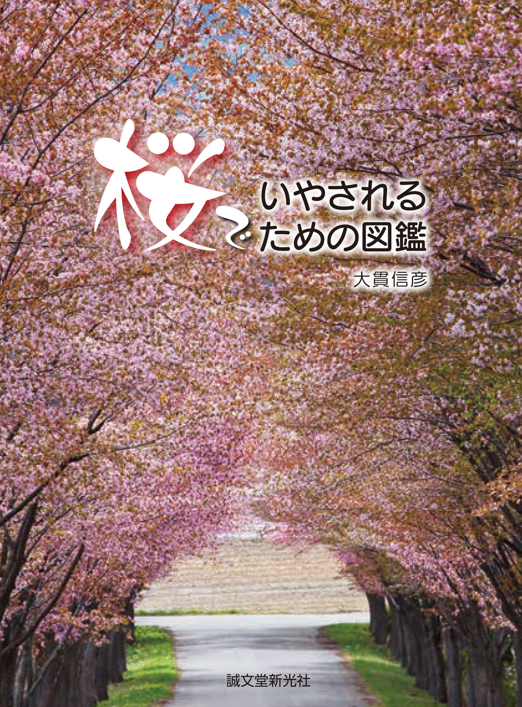 Picture book for being healed by cherry blossoms
