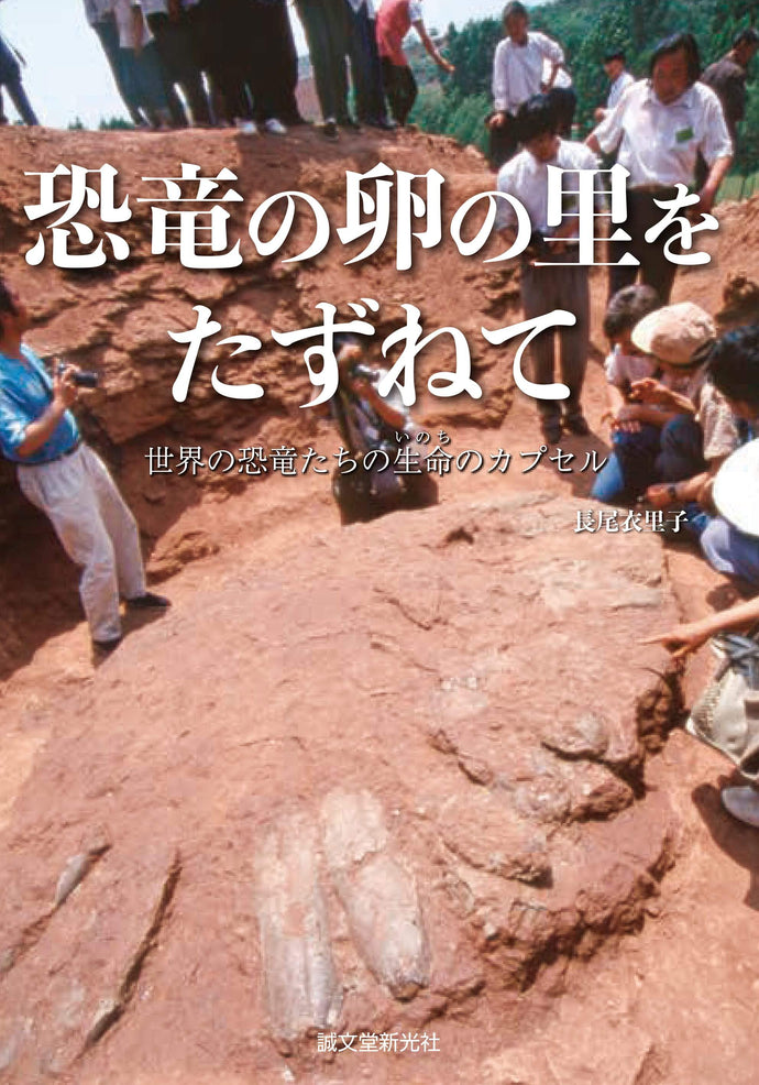 Visiting the Dinosaur Egg Village