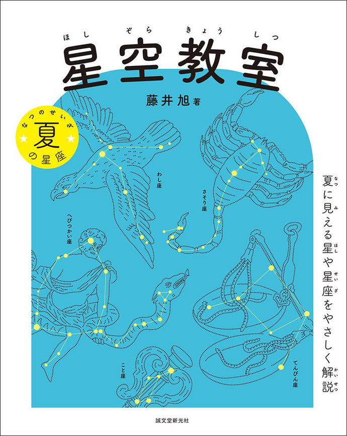 Starry sky classroom Summer constellations